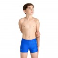 ARENA BOY'S  MARK SWIM SHORT