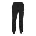 JACK & JONES JPSTGORDON JJFERRIS SWEAT PANTS NAF