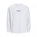 JACK & JONES JORVESTERBRO TEE LS CREW NECK NOOS