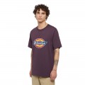 DICKIES ICON LOGO TEE PLUM PERFECT